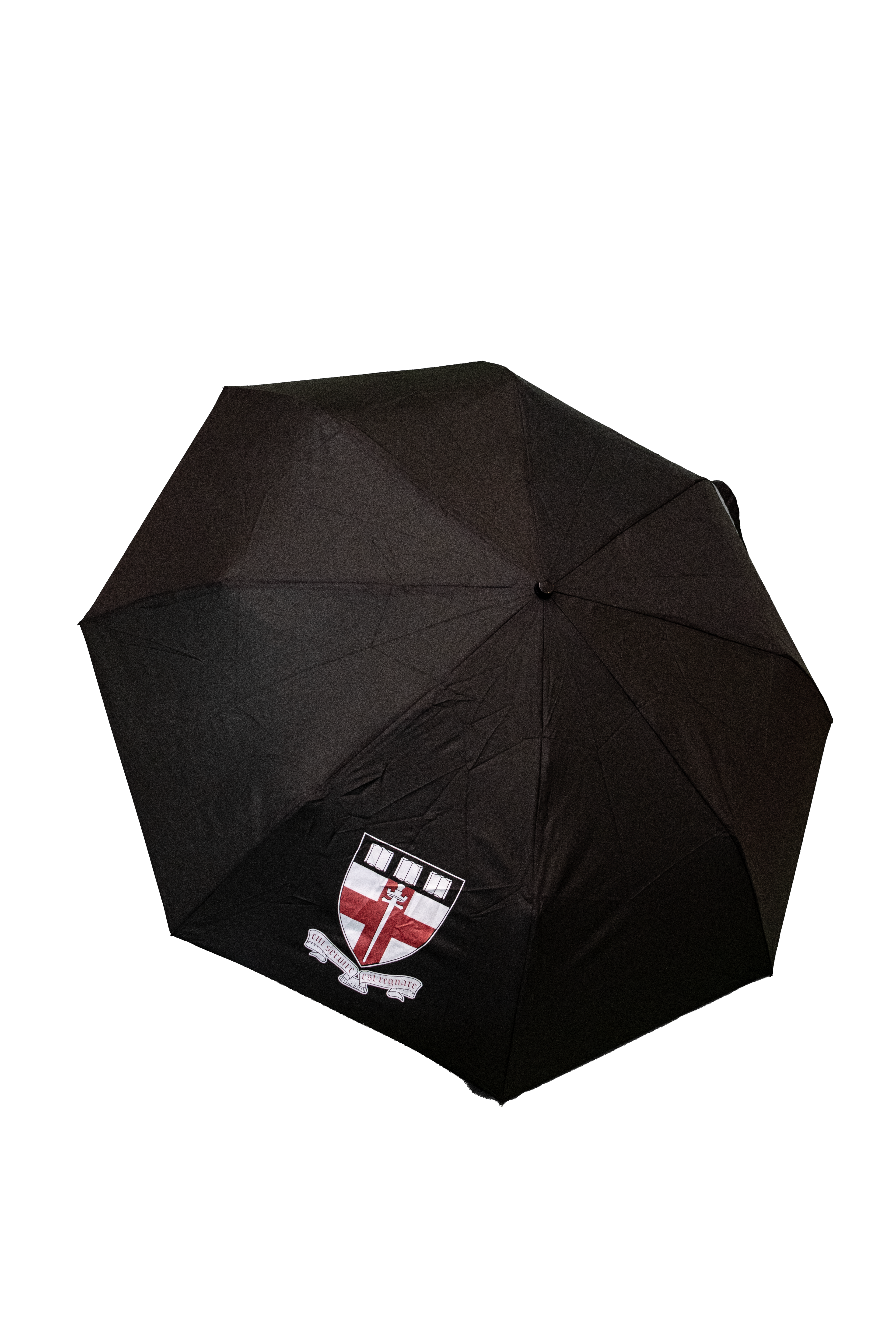 Travel size umbrella